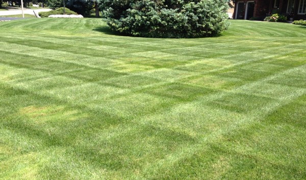 Mowing Stripes Can Enhance a Lawn's Looks